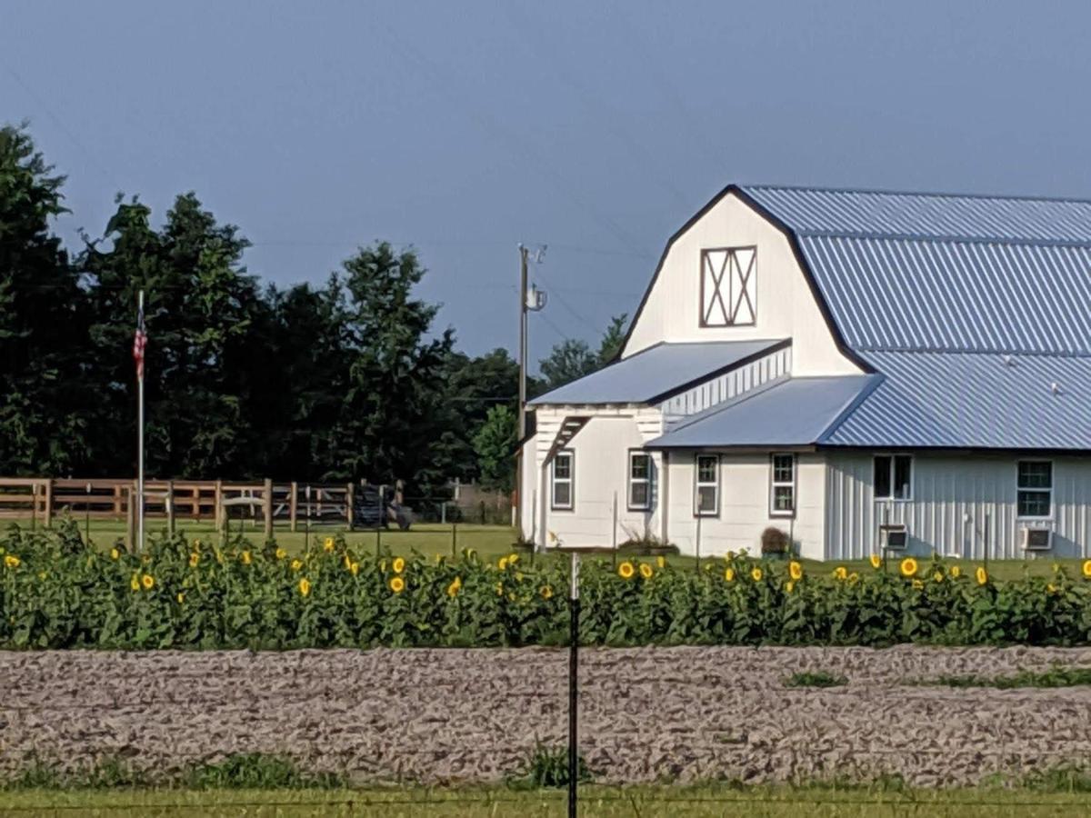 Bunkhouse Farm Stay Fort White Extérieur photo